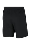 Nike M Nk Flc Park20 Erkek Şort Cw6910-010