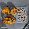 KAKAO FİDANI