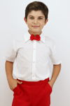 Parla Kids TAKIM 4 Erkek Çocuk Papyonlu Alt Üst Takım 23 Nisan 29 Ekim 10 Kasım 19 Mayıs Gösteri Kıyafetleri, ERKEK ÇOCUK – Parla Kids resmi ürün görseli