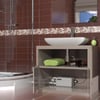 SANISHOWER