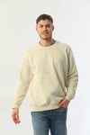 Edelle Organik Basic Bej Erkek Sweatshirt
