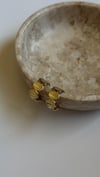 GOLD COIN HOOP KÜPE