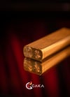 CAKA ZEN SERİSİ
