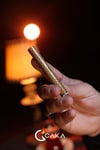 CATENA GOLD