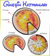 Ahşap Güneşin Katmanları