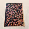 Sugai Hurması 5 KG