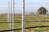 Ara Direk ( P5M Profil Alsace) 200cm