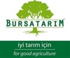 BURSATARIMMaraval Kestane Aşı Kalemi