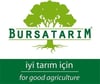 BURSATARIMMaraval Kestane Aşı Kalemi