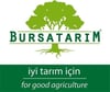 BURSATARIMMaraval Kestane Aşı Kalemi
