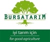 BURSATARIMMaraval Kestane Aşı Kalemi