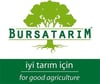 BURSATARIMMaraval Kestane Aşı Kalemi
