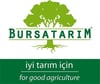 BURSATARIMMaraval Kestane Aşı Kalemi