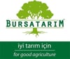 BURSATARIMMaraval Kestane Aşı Kalemi