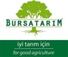 BURSATARIMMaraval Kestane Aşı Kalemi
