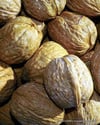 BURSATARIMRonde Montignac Ceviz Fidanı