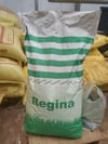 BURSATARIMÇim Tohumu 10KG 