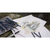 DERWENT WATER COLOUR SULU BOYA KALEM SETİ 36 RENK
