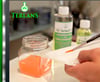 TERLANS BOYA VE FIRÇA TEMİZLEYİCİ 250 ml.