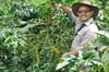 NORDIC APPROACH - Indonesia Frinsa Edun #2 