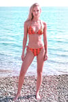Akdeniz Gün Batımı ve Kılıç Balığı Desenli Premium Bağcıklı Üçgen Bikini Set
