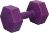 Avessa 3 kg Plastik Dambıl Set Toplam 6 kg Mor