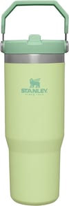 STANLEY IceFlow Flip Straw Pipetli Termos Bardak 0.89 lt Ağaç Kavunu