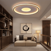 ÇEMBER İÇİ ÇEMBER(Q40) LED TAVAN LAMBASI,YUVARLAK AVİZE,MODERN AYDINLATMA,DEKORATİF IŞIK