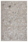 1067 Gri Nadide Halı