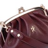 Nas Bag Mini Kadın Vintage Burslu Çanta (23x15 cm)  Bordo Victoria