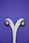 925 Sterling Silver Quartz Teardrop Earrings