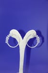 Glorious Bloom in Sterling Silver Earrings 