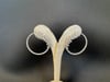 Glorious Bloom in Sterling Silver Earrings 