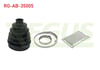 AKS KORUGU DIS KIT MASTER III 2010-