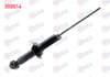 AMORTISOR ARKA SOL-SAG GAZLI MITSUBISHI ASX (GA,W) 1.6 2010- / CITROEN C4 AIRCROSS 1.6 - 1.6 HDI 2012-