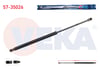 BAGAJ AMORTISORU 546mm/455N RENAULT MEGANE II (BM0/1,CM0/1) STATION WAGON 2008-2010
