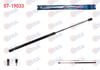 BAGAJ AMORTISORU 592mm/735N FORD TOURNEO COURIER (B460) 2014-