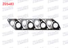 EGZOZ MANIFOLD CONTASI STAREX