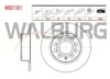 FREN DISKI ARKA DUZ VOLKSWAGEN GOLF V (1K1) 1.4 TSI 5 BIJON 253X9,9X65X51,2 2003-2009 1K0615601AB 5Q0615601F