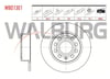 FREN DISKI ARKA DUZ VOLKSWAGEN GOLF V (1K1) 1.4 TSI 5 BIJON 253X9,9X65X51,2 2003-2009