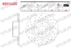 FREN DISKI ARKA HAVALI PERFORMANS DELIKLI 5 BJN 330X20X75X70,8 BMW X3 (F25) 2010-2017 / X4 (F26) 2014-2018