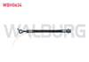 FREN HORTUMU ARKA SOL-SAG 170mm NISSAN JUKE 2010-