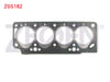 MOTOR UST TAKIM CONTA RENAULT KANGOO 1.9 F8Q
