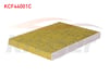 POLEN FILTRE KARBONLU AUDI A3 / SEAT CORDOBA / IBIZA / LEON / SKODA OCTAVIA / SUPERB / VOLKSWAGEN POLO / GOLF  1996-2003