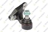 ROTIL ALT SAG ON BMW 3 SERISI (E46) 1998-2005