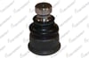 ROTIL CAP Ø24 ON ALT RENAULT MASTER II 2003-2010 / NISSAN INTERSTAR 2002-2010 / OPEL MOVANO A 1998-2010