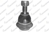 ROTIL ON ALT CITROEN BERLINGO 2008-2018 / CITROEN C4 2004-2009 / CITROEN C4 GRAND PICASSO 2007-2013 / PEUGEOT 307 2000-2008 / PEUGEOT PARTNER