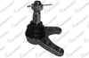 ROTIL ON ALT FORD RANGER 1999-2006 / MAZDA B2500 1995-1999