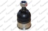 ROTIL ON ALT HONDA ACCORD VIII 2008-2012 / HONDA CROSSTOUR 2010-2015 / ACURA TL 2009-2014 / ACURA TSX 2009-2014