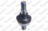 ROTIL ON ALT IVECO DAILY III 1999-2006